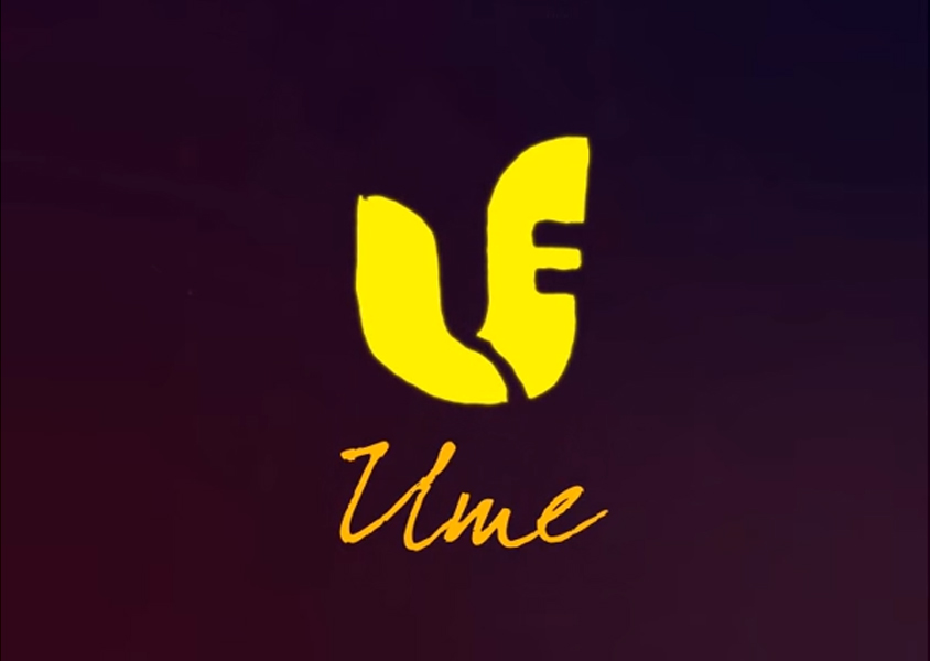 Animasi Bumper Video